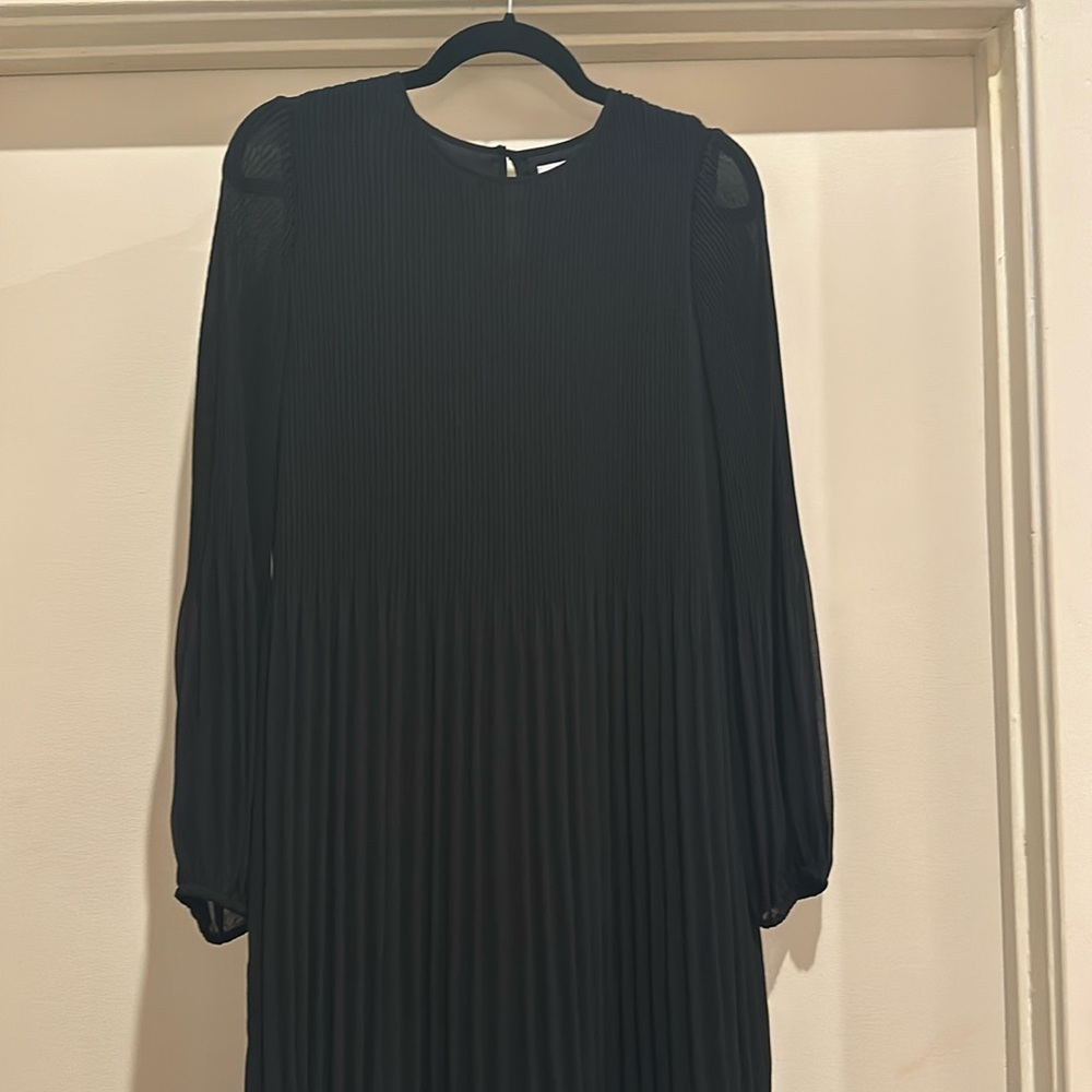Aritzia pleated dress
